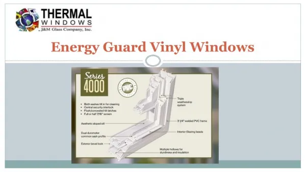 Energy Guard Vinyl Windows