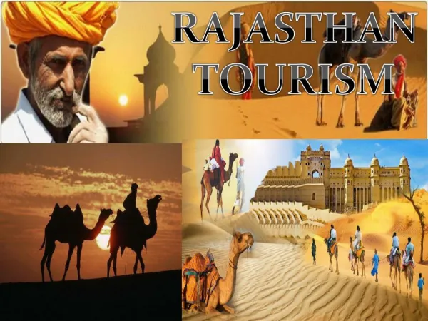 Things To Do In Rajasthan Tour