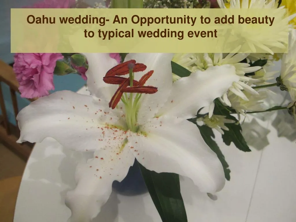 oahu wedding an opportunity to add beauty to typical wedding event
