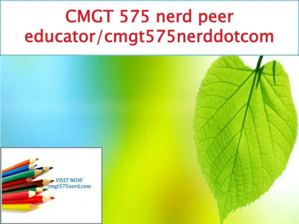 CMGT 575 nerd peer educator/cmgt575nerddotcom