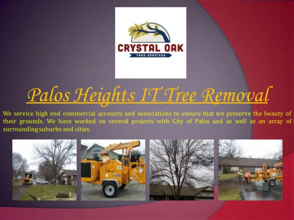 Palos Heights IT Tree Removal