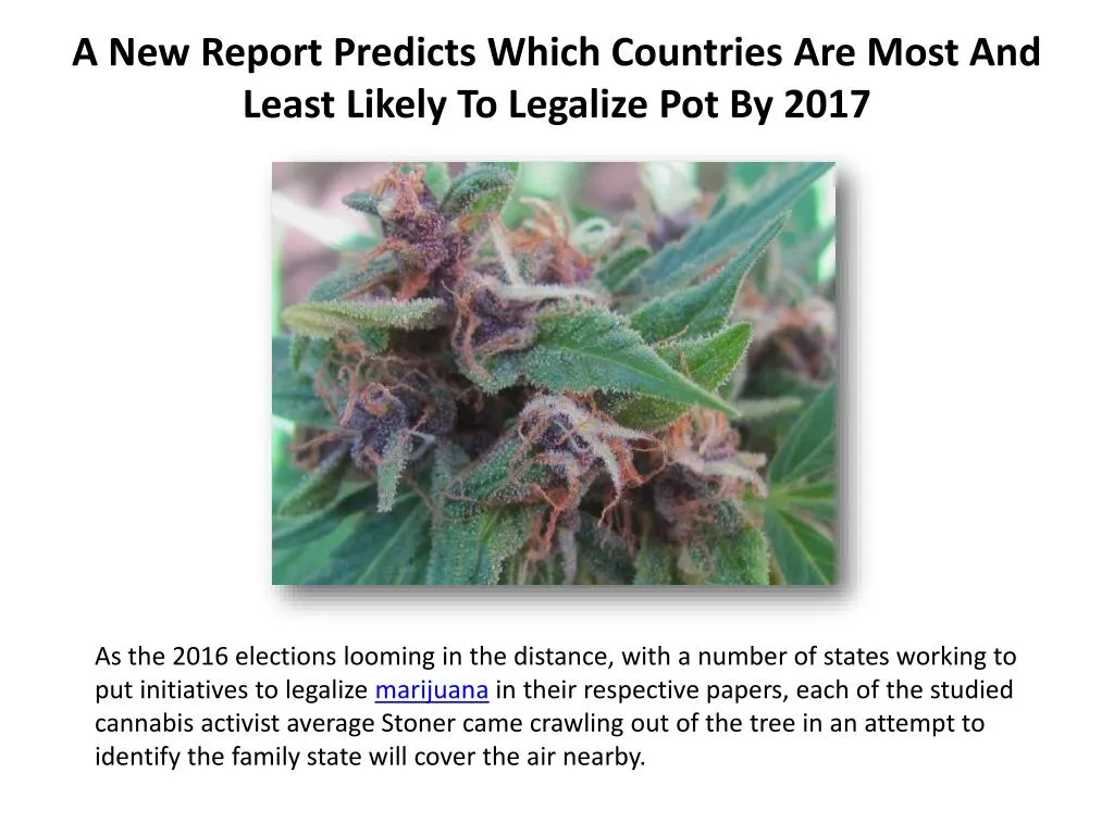 a new report predicts which countries are most and least likely to legalize pot by 2017
