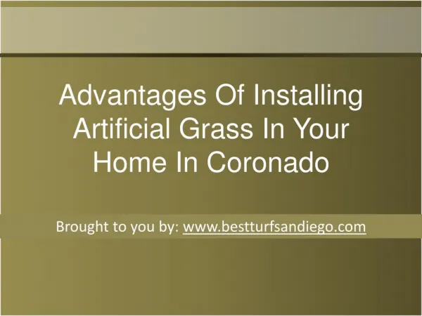 Advantages Of Installing Artificial Grass In Your Home In Coronado