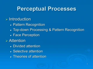 Perceptual Processes - slide 1