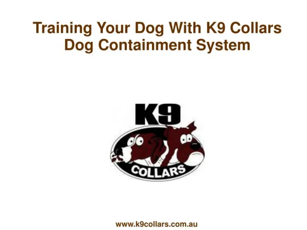 Training Your Dog With K9 Collars Dog Containment System