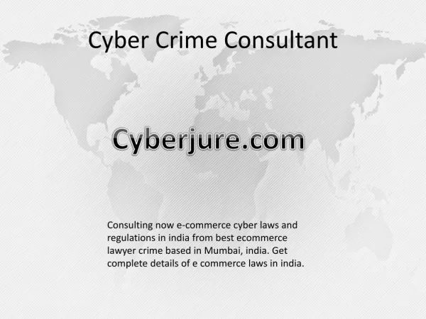Cyber Crime Consultant