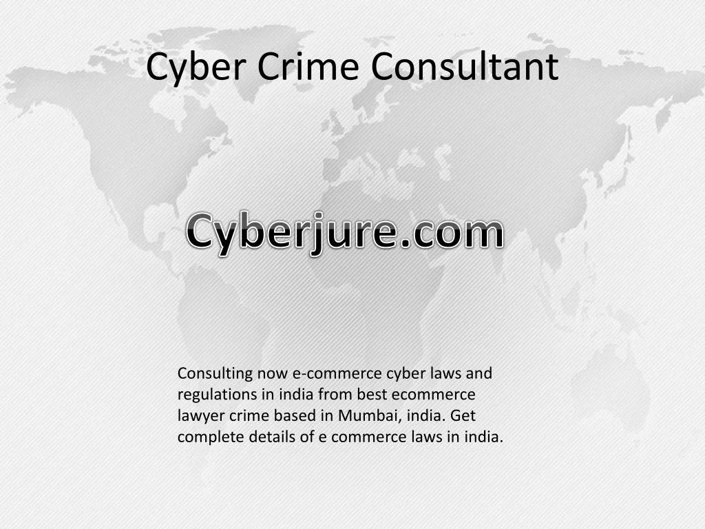 cyber crime consultant