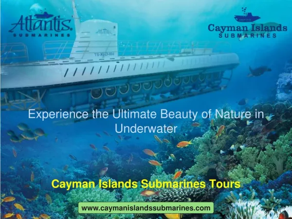 Explore stunning sea life with Underwater submarine tours.