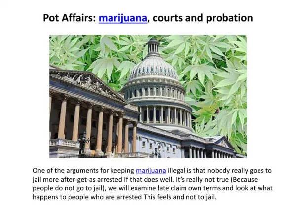 Pot Affairs: marijuana, courts and probation