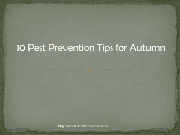 10 Pest Prevention Tips for Autumn