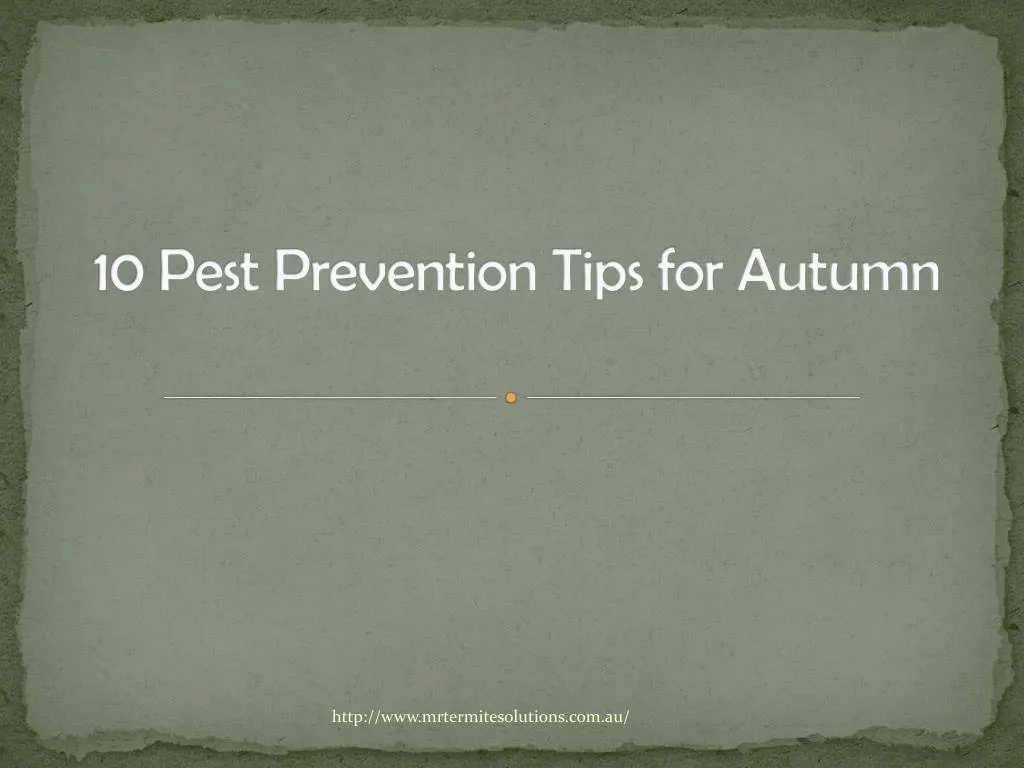 10 pest prevention tips for autumn