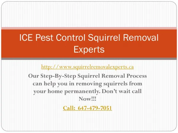Ground squirrel pest control |Squirrel Removal Experts