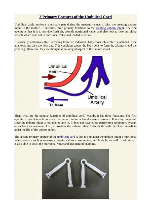 3 Primary Features of the Umbilical Cord