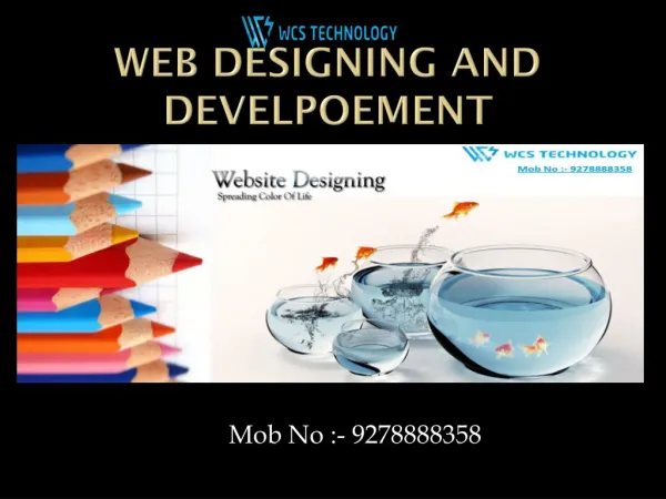 Web designing and development@9278888358