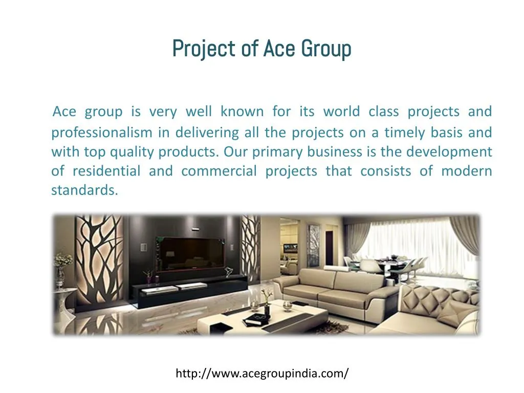 project of ace group