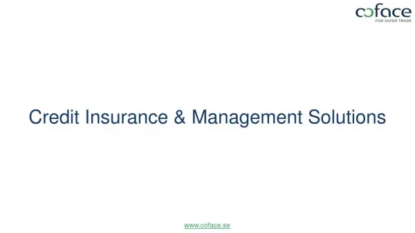 Benefits of Credit Insurance and Management Solutions