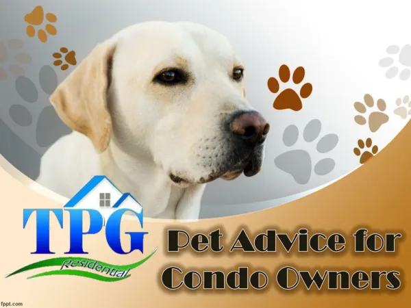 Pet Advice for Condo Owners