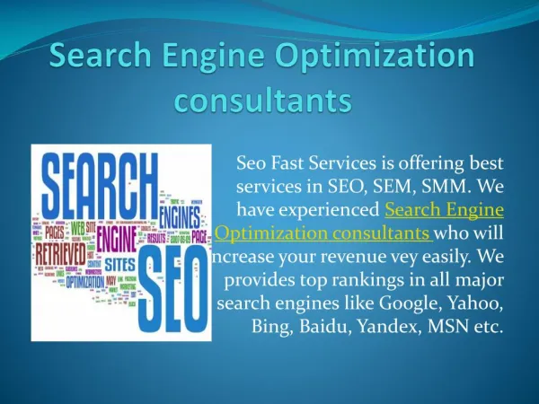 Search Engine Optimization consultants