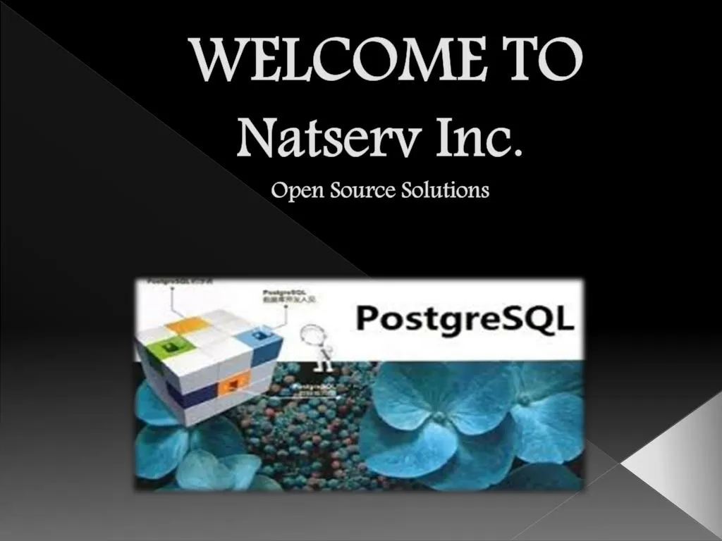 welcome to natserv inc open source solutions