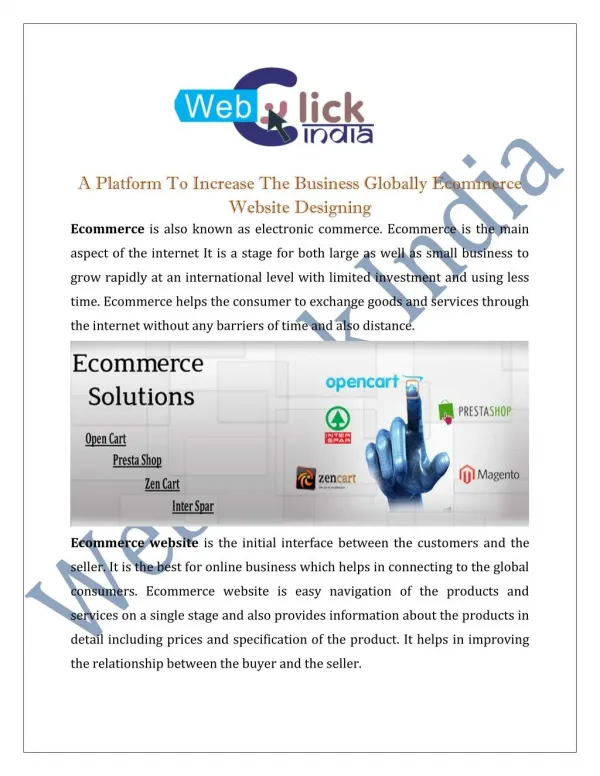 Ecommerce Website Designing Company in Delhi India