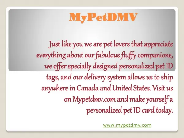 Personalized pet IDs for every pet, they make me feel safe.
