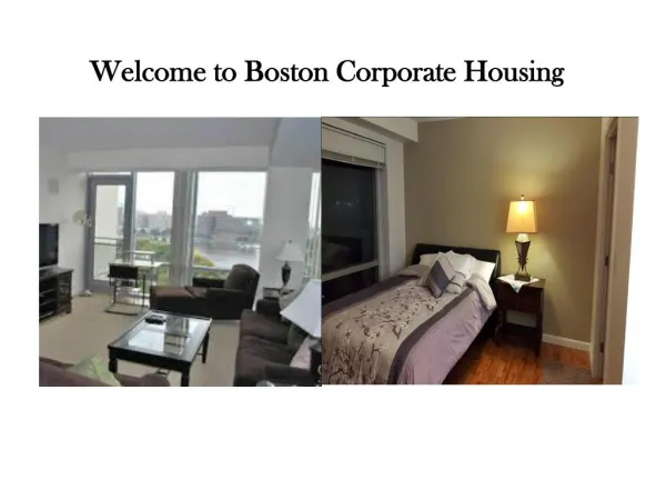 Luxury Apartments in Boston Area
