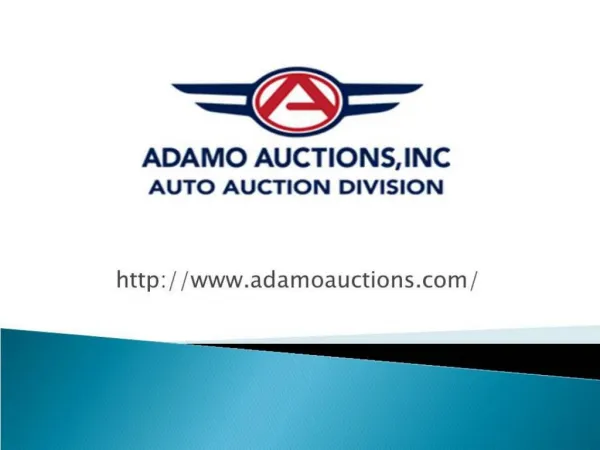 Adamo Auctions