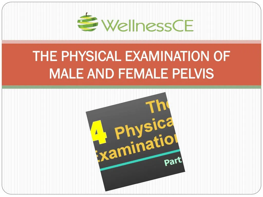 the physical examination of male and female pelvis