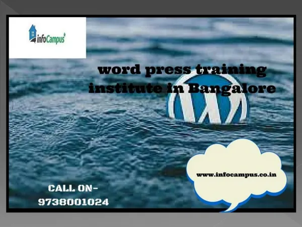 wordpress training in bangalore call on 919738001024