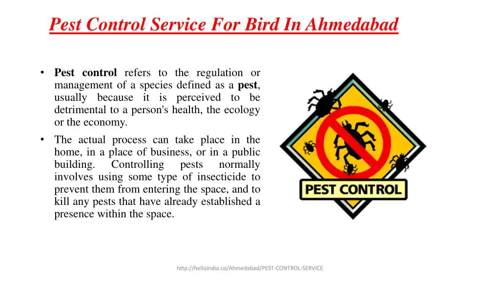 pest control service for bird in ahmedabad