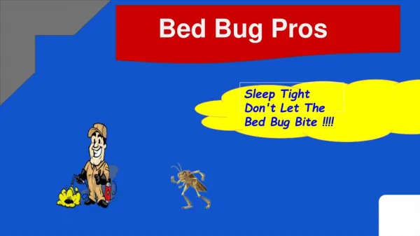 Bed Bug Exterminators - kitchener , waterloo,Cambridge, Guelph and Brantford
