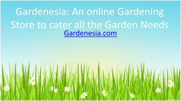 Gardenesia An online Gardening Store to cater all the Garden Needs