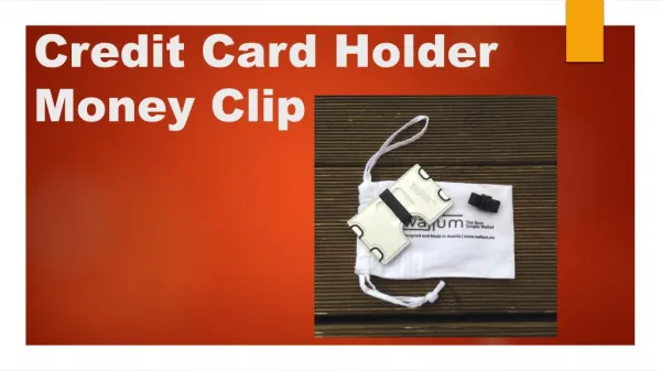 Credit Card Holder Money Clip
