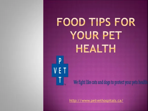 Food Tips For Your Pet Health