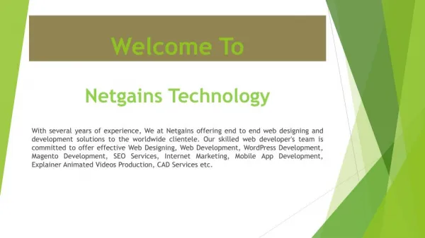 Website Development & Designing Company Netgains Technology India
