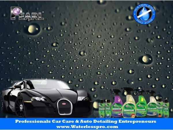 Professionals Car Care & Auto Detailing Entrepreneurs