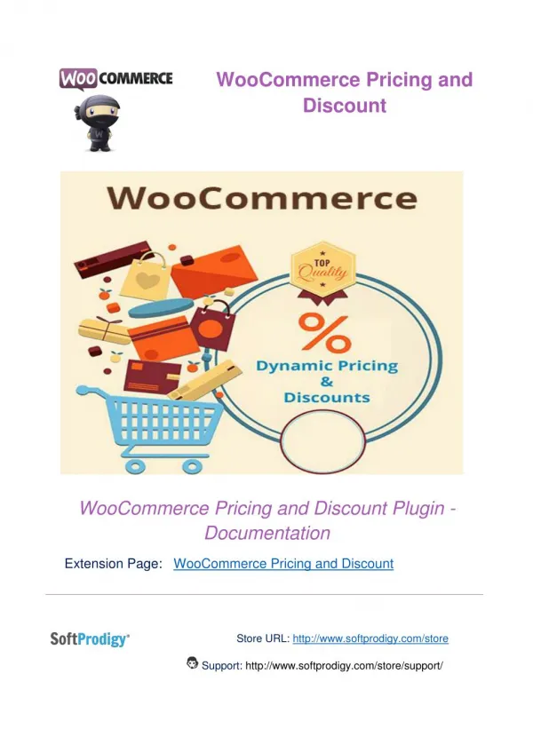 WooCommerce Pricing and Discount Plugin