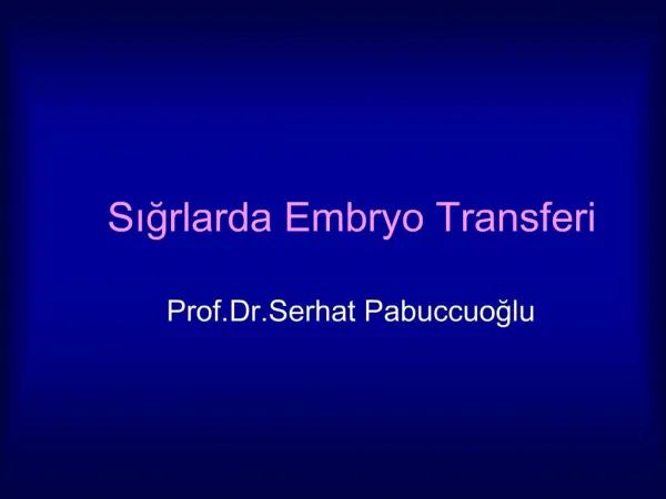 Sigrlarda Embryo Transferi