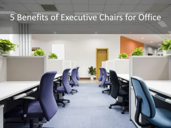 Importance of Executive office chairs in UAE
