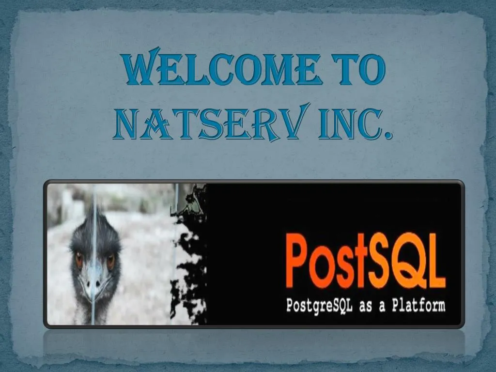 welcome to natserv inc