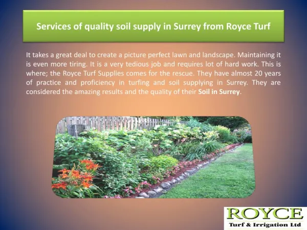 Services of quality soil supply in Surrey from Royce Turf
