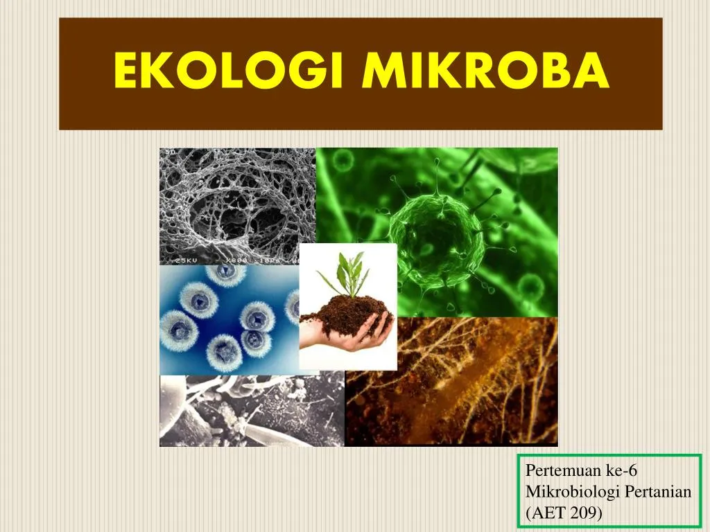 ekologi mikroba