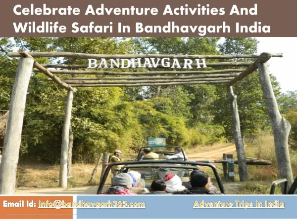Celebrate Adventure Activities In Bandhavgarh India