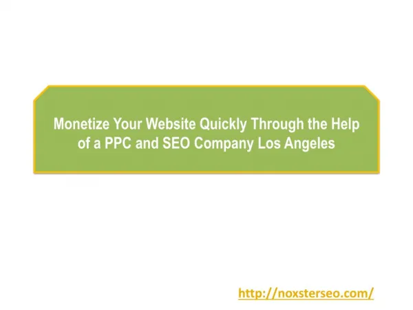 Monetize Your Website Quickly Through the Help of a PPC and SEO Company Los Angeles