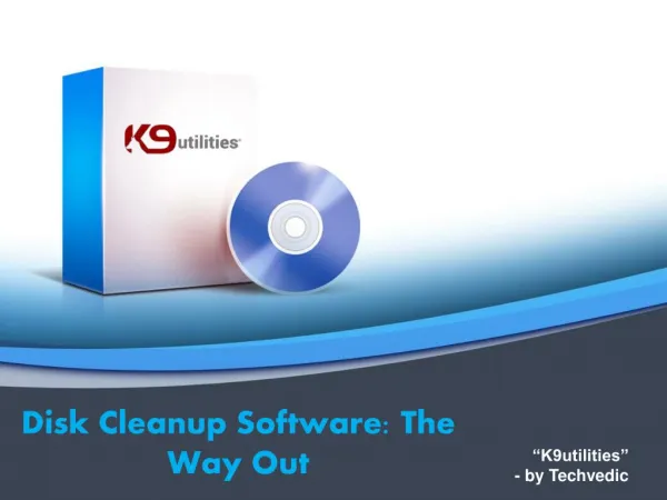 Disk Cleanup Software: The Way Out
