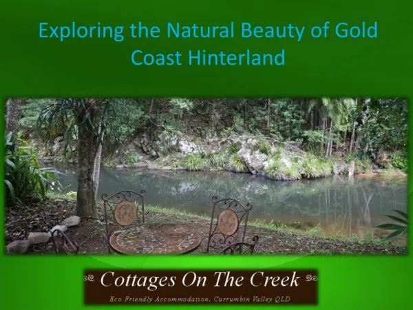 Exploring the Natural Beauty of Gold Coast Hinterland