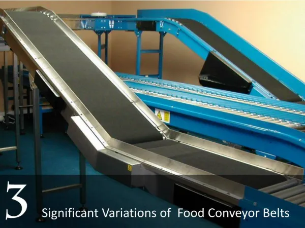 Major Variants of Food Conveyor Belts in UAE