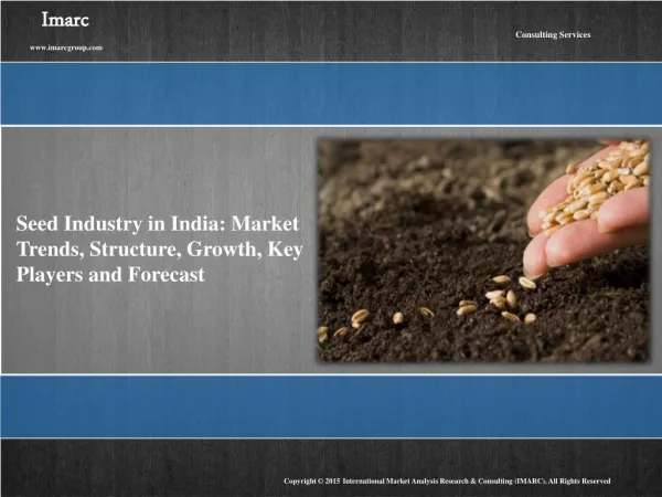 Seed Industry in India : Structure, Growth, Key Players and Forecast