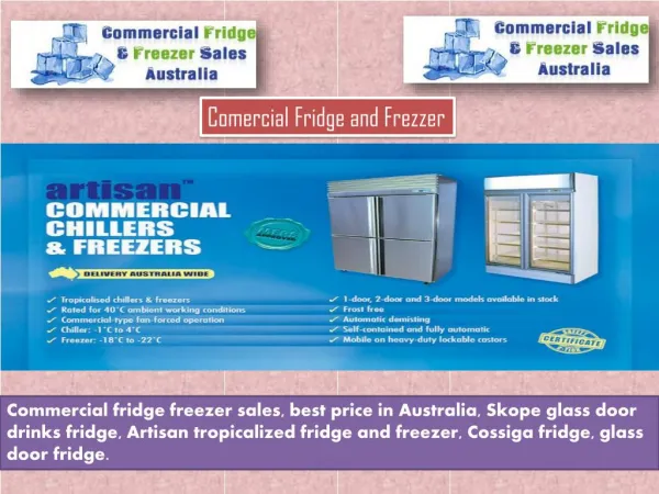 Commercial Fridge and frizzer