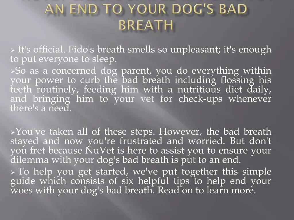 nuvet labs 6 simple ways to put an end to your dog s bad breath
